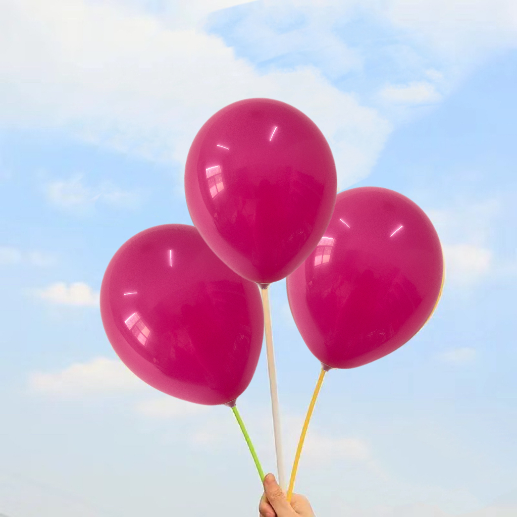 Haorun's Premium Rose Red Latex Balloons for Every Occasion